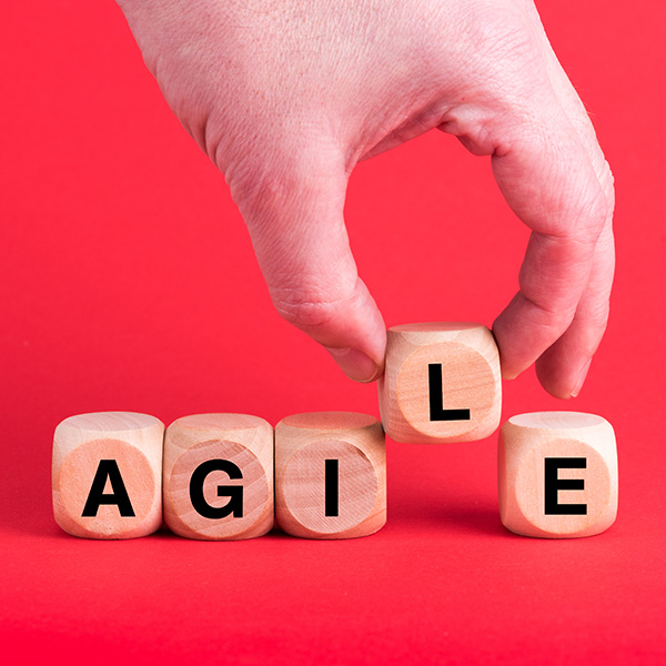 agile-approach-image